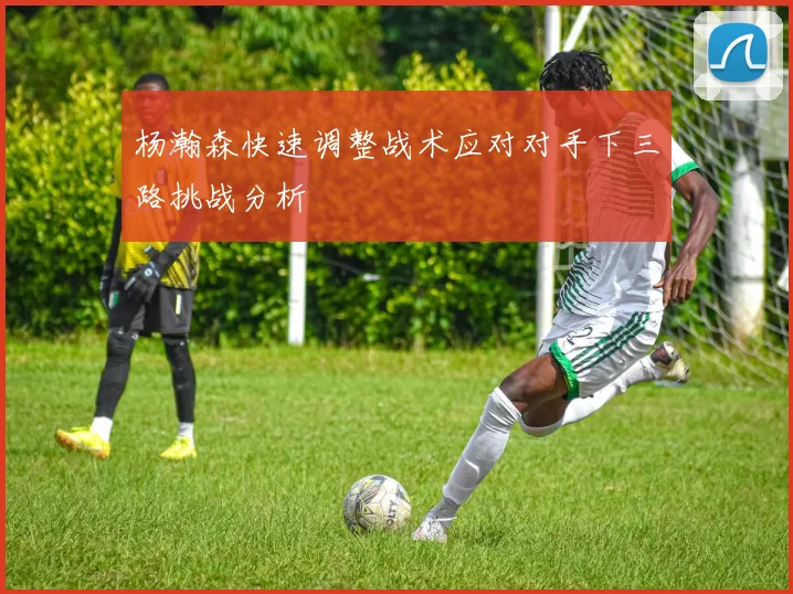 杨瀚森快速调整战术应对对手下三路挑战分析